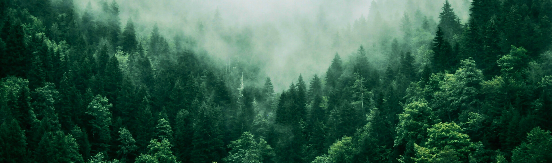 Mastering the First Impression: Your intriguing post title goes here footer cta